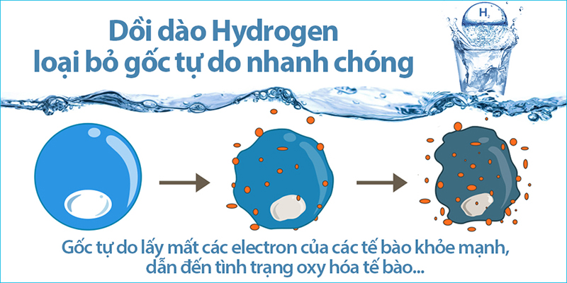 Phân tử H2 có thể chống lại các gốc tự do