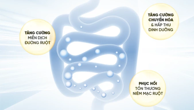 Máy lọc nước Probiotics MP-F081-HC4H5P lợi ích