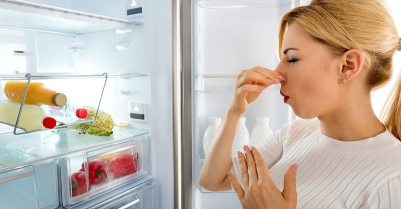 Tủ lạnh chứa vi khuẩn 