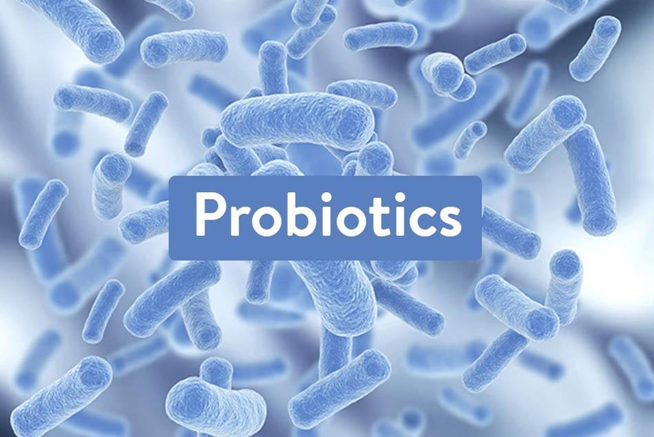 Cân bằng hệ vi sinh đường ruột bằng phương pháp bổ sung probiotic đúng