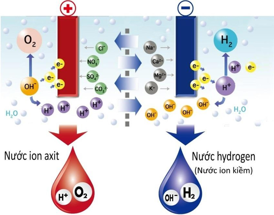 Công nghệ tạo nước Hydrogen bằng điện phân