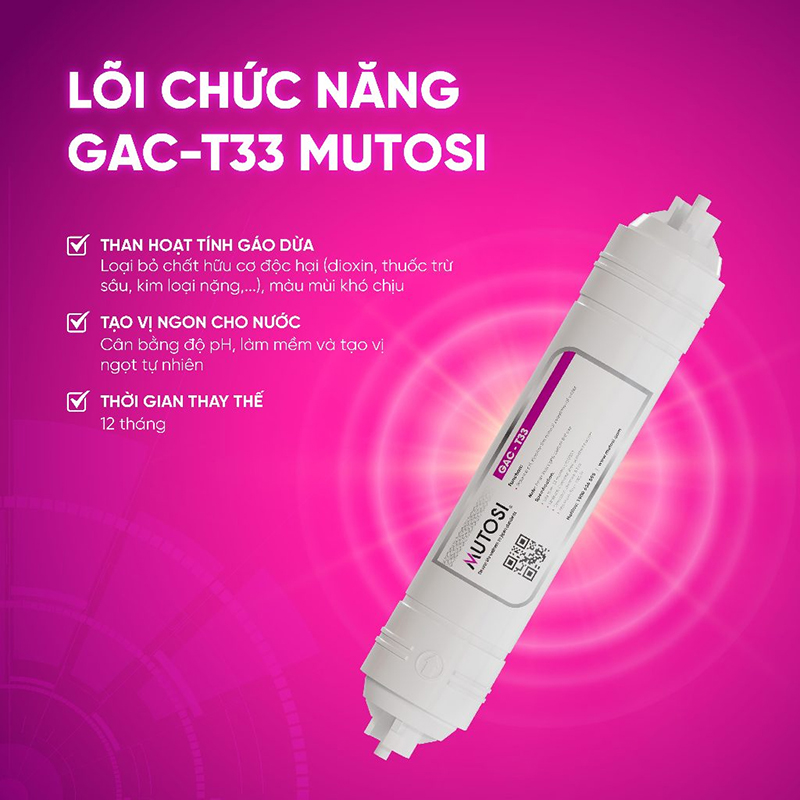 Lõi T33 GAC giúp loại bỏ chất độc hại và mùi hôi khó chịu