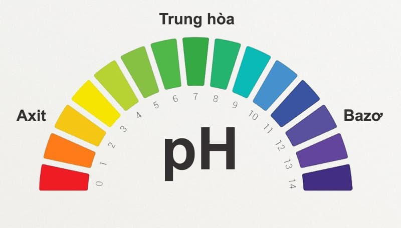 Màu sắc hiển thị trên kết quả đo sẽ chỉ rõ tính axit, tính kiềm hoặc trung tính của nước