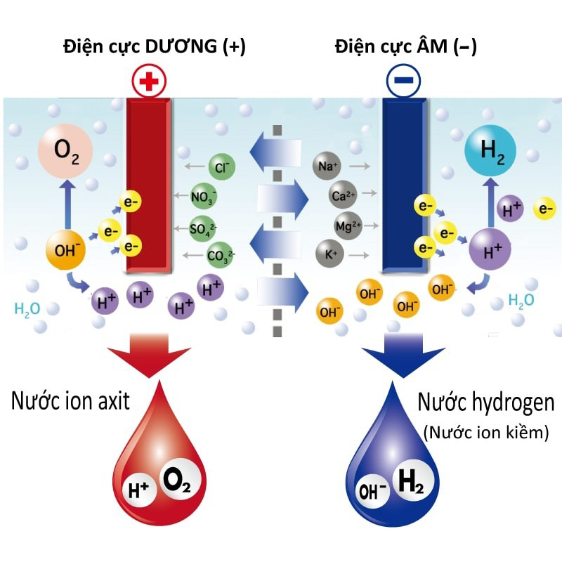 Bình tạo nước Hydro