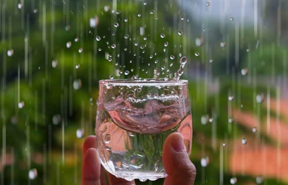 Nước mưa khi rơi xuống thường mang theo bụi bẩn, vi khuẩn, vi trùng, axit và cả các loại hóa chất độc hại nên không còn an toàn để sử dụng
