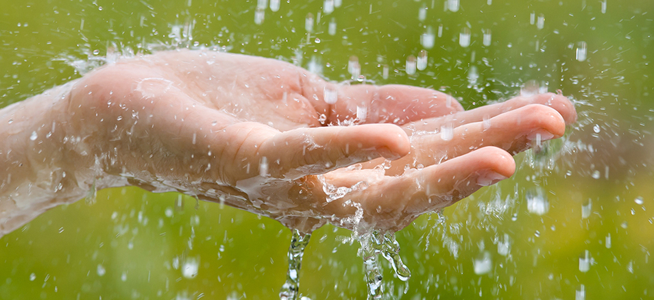 Rửa mặt bằng nước mưa không bị nhiễm bẩn có thể giúp làm sạch da, ngừa mụn 