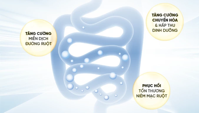 Máy lọc nước Probiotics MP-F081-HC4P lợi ích